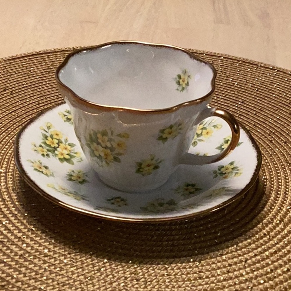 Vintage Royal Minister Fine Bone China Cup and Saucer.